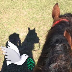 Meet your Posher, Cynthia